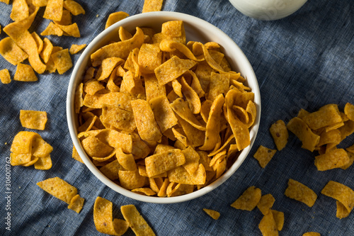 Crunchy Salt Corn Chips photo