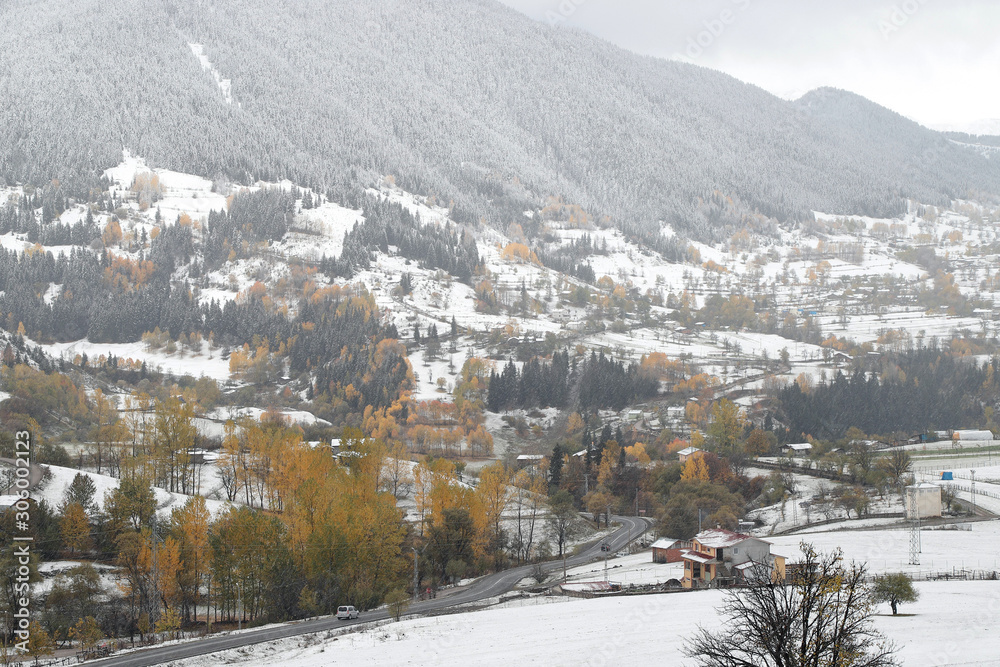 Fototapeta premium First snow in the forest in the mountains