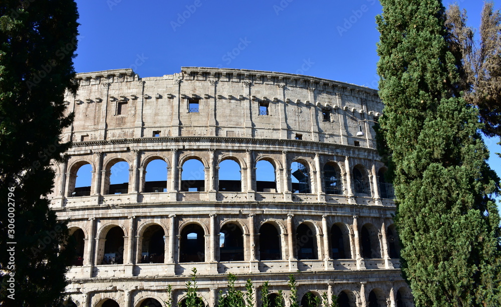 Colosseo with trees and blue sky. Rome, Italy.