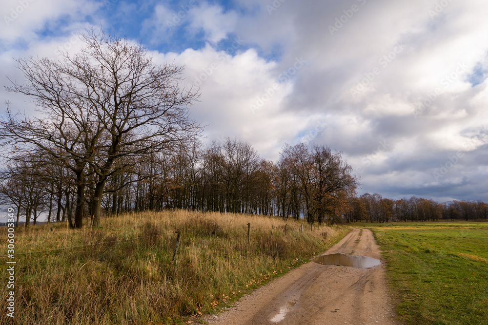 Krajobraz wiejski, Jesień na Podlasiu, Dolina Narwi, Polska