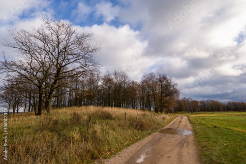 Krajobraz wiejski, Jesień na Podlasiu, Dolina Narwi, Polska