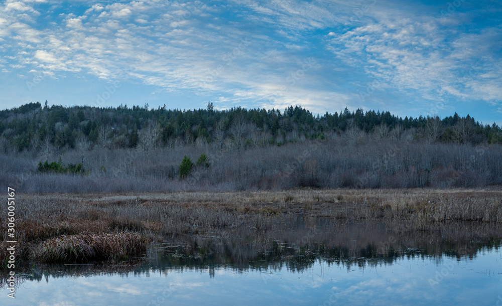 Obraz premium Late Afternoon Along Beaver Pond At Darlin Creek