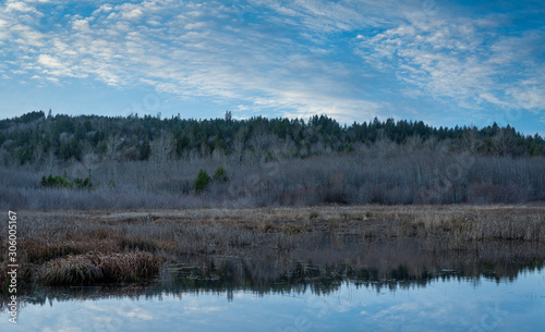 Late Afternoon Along Beaver Pond At Darlin Creek