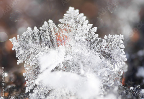 Hoar-Frost-66-67