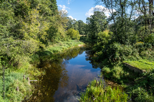 Quiet forest river on a sunny summer day. reflections of the trees in river. forest landscape.