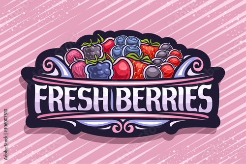 Vector logo for Fresh Berries, black decorative sign with illustration of pile variety berries and design flourishes, signboard with original typeface for words fresh berries on red striped background
