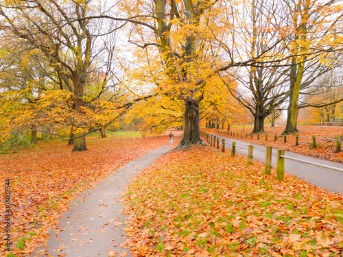 Autumn Colours in the Park