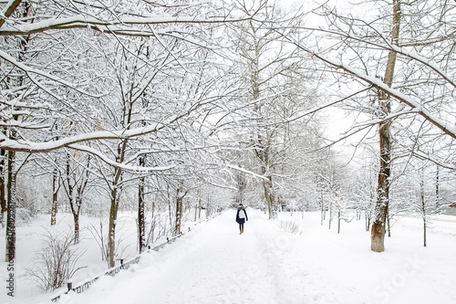 Winter in  Northern  Europe © Marat Lala