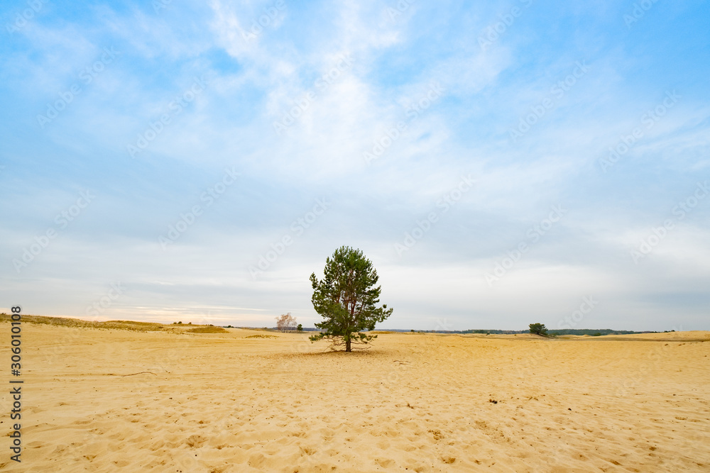 Landscape with desert in ukraine 