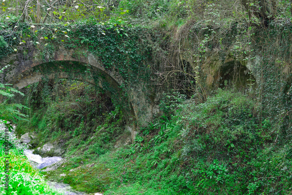 Old abandoned bridge with plants overgrowth.