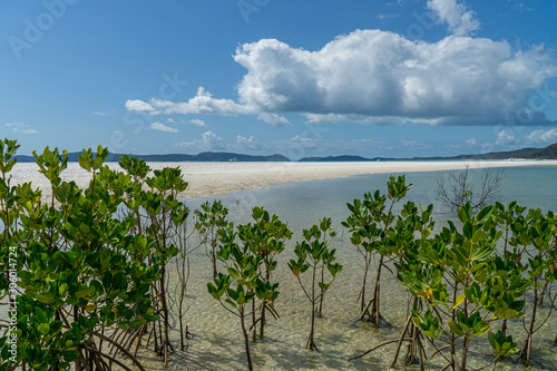 the white beach of the Whitsunday Islands in Australia, which consists of 99 percent quartz sand, and the azure blue sea