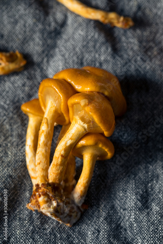 Raw Organic Japanese Nameko Mushrooms