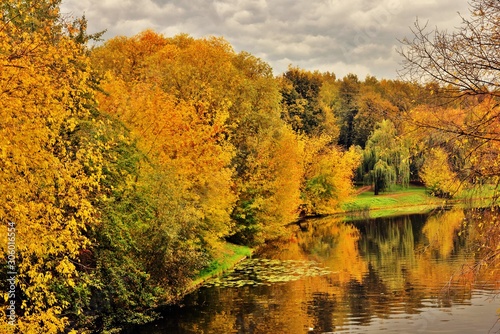 Fototapeta Naklejka Na Ścianę i Meble -  Russian landscape. Colorful autumn trees and river. Color photo taken in Moscow