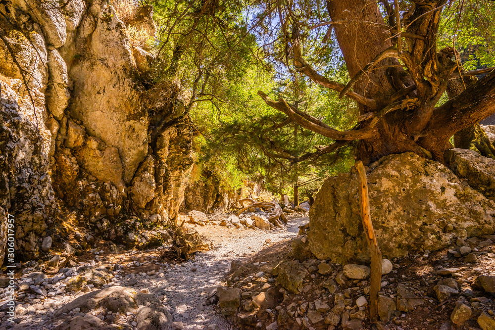 Mountain landscape: Imbros gorge. Crete, Greece Mountain landscape: Imbros gorge. Crete, Greece