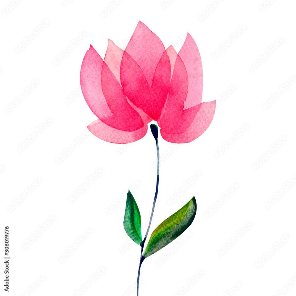Abstract Watercolor pink flower isolated on white