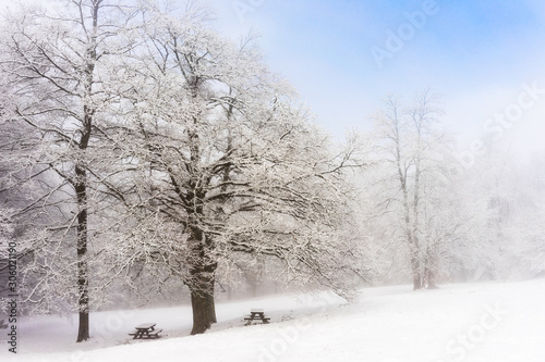 Forest of the Parks Sasso Simone e Simoncello during winter. © Fabrizio Giardi