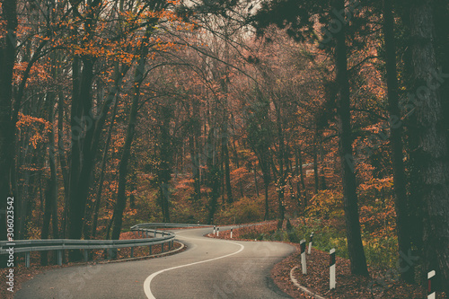 Fotografía Dreamlike, twisty road that stretches through a beautiful national park
