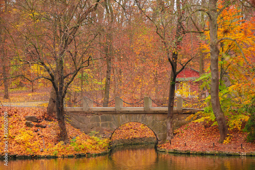 Stone bridge in autumn park