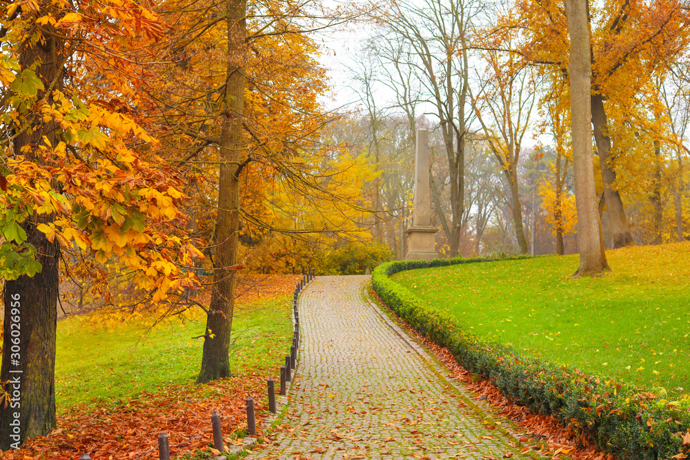 Naklejka premium View of beautiful autumn park