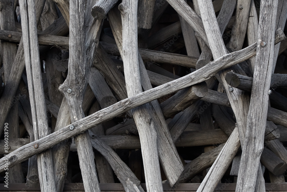 Wall of dry trunks and branches Wall of dry trunks and branches