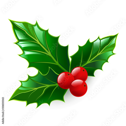 Holly. Christmas symbol. Design element. Isolated on a white background. Vector illustration.