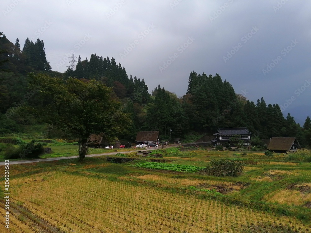 Shirakawago - Farm houses - Japanese Alps