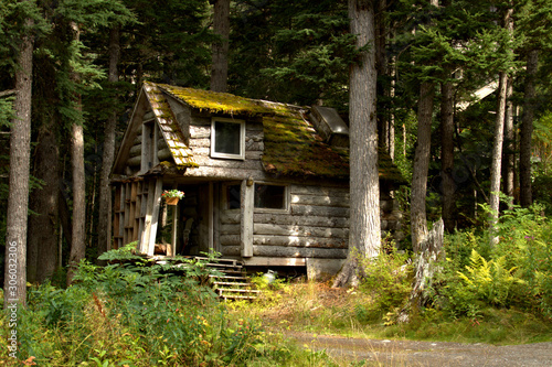Old log cabin in the forest