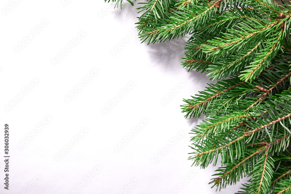Christmas  card - fir branches on the white paper