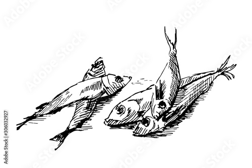 Sprat fish hand drawn. Graphics sketch 