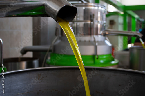 Extraction of oil from olives in a modern farm, cold-press factory after the olive harvesting, fresh oil flowing in the bin 