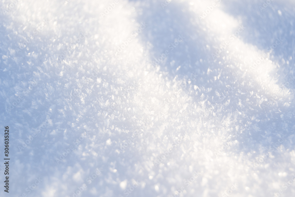 Snowy winter in the Park. background. Winter landscape. Celebration of New year and Christmas.