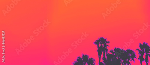 Beautiful sunset of Los Angeles palm trees synth wave style