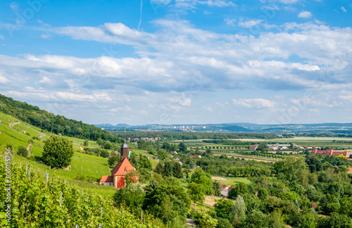 Weinberge, Elbtal Pillnitz - Dresden, Sachsen photo