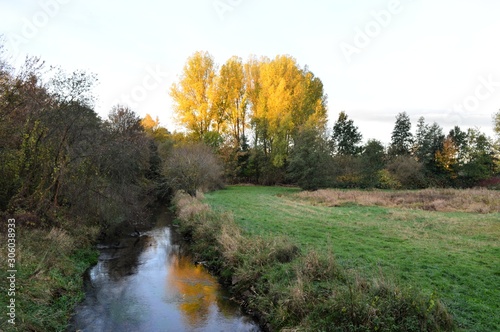 Meadow landscape with river, grass and trees, recreational area and flood area near Leipzig,