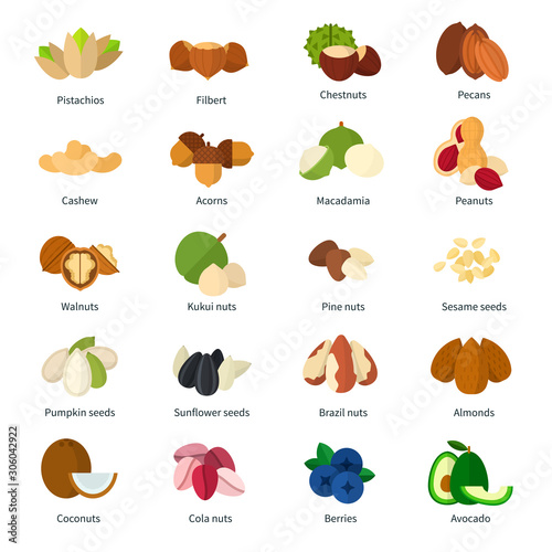 Set of Nuts icons flat vector illustration