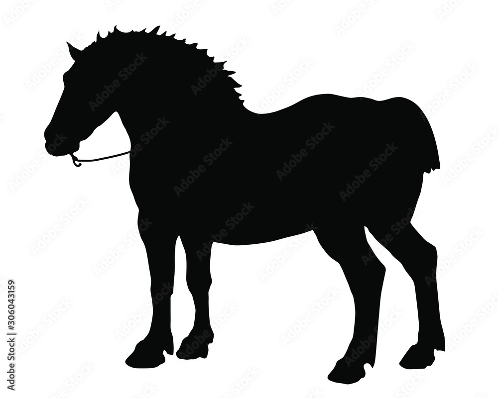 Obraz premium black silhouette of a powerful horse on a white background, isolated vector images, pictures