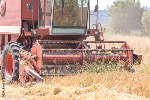 Wallpaper Mural La Trebbiatrice nel grano.....!!!! Torontodigital.ca