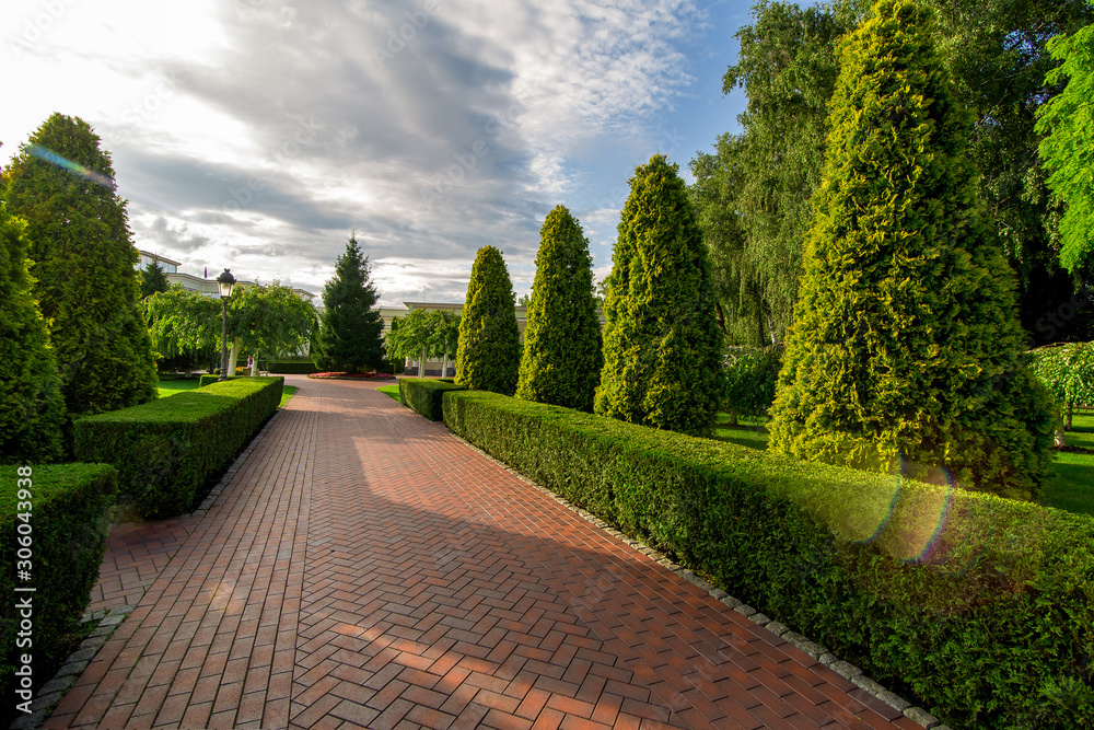 a pedestrian footpath from paving slabs in the garden with hedge of evergreen thuja and clouds in the sky with sun flare.