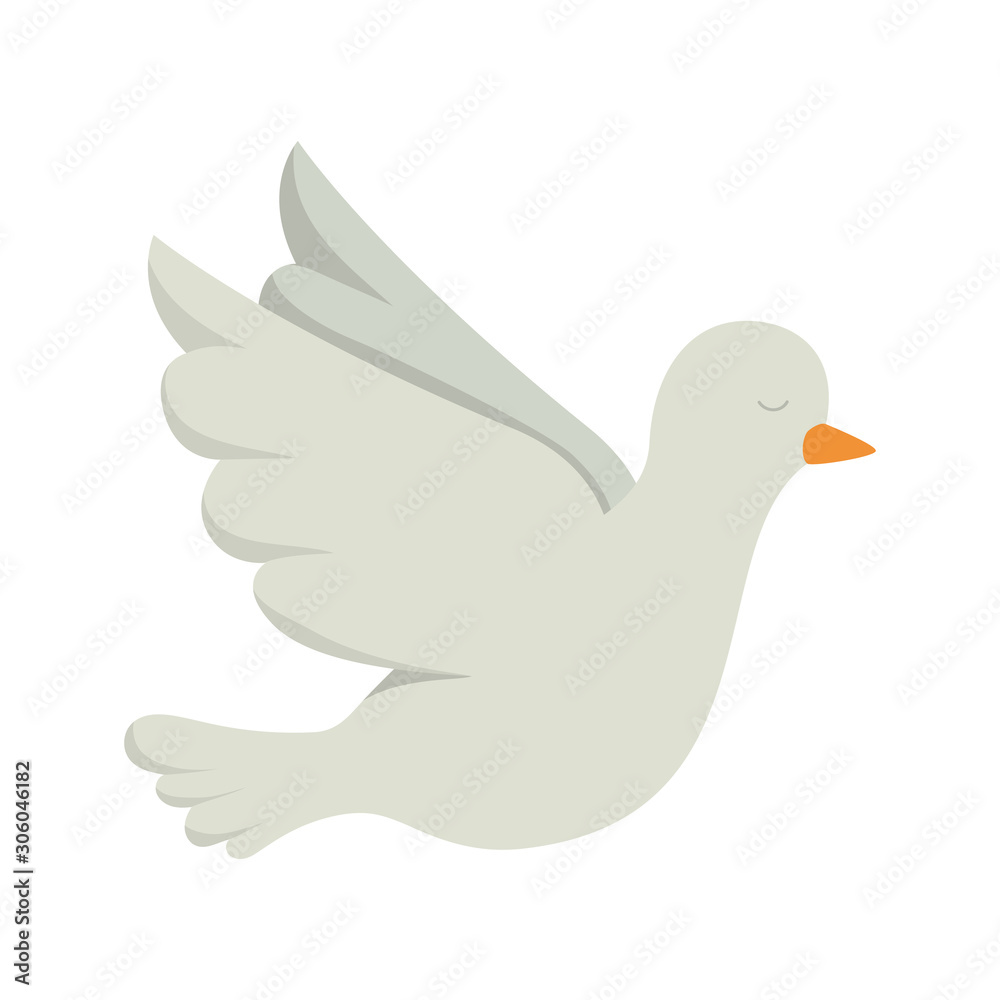 Isolated dove bird vector design Isolated dove bird vector design