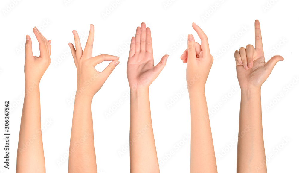 Set of woman hands isolated on white background. Set of woman hands isolated on white background.