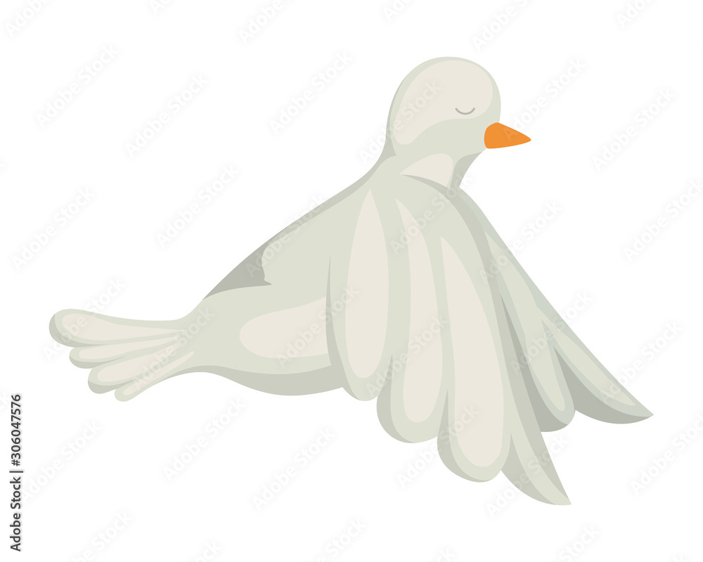 Obraz premium Isolated dove bird vector design