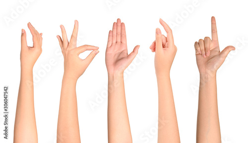 Set of woman hands isolated on white background. photo