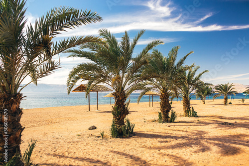 gulf of Aqaba Jordan sand palm beach idyllic scenic landscape beautiful summer time vacation destination place  photo