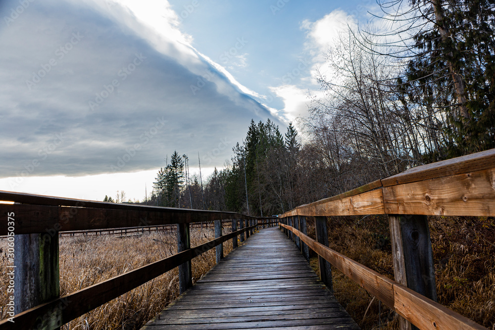Wooden Bridge at Richards Marsh Park, Cinnabar Valley, Nanaimo, BC