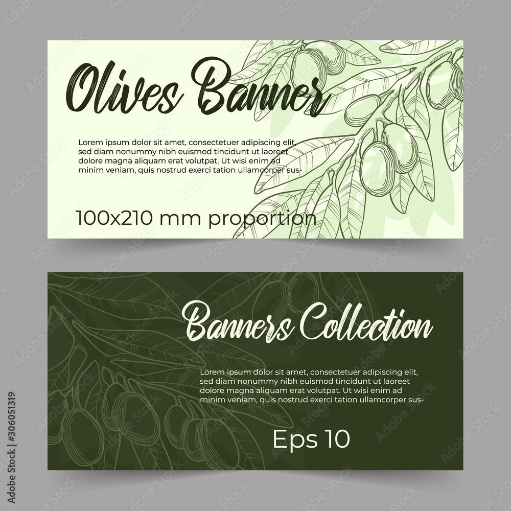 Set of two horizontal banner template with hand drawn illustration of olives branch in line art on pastels green and dark green background with copy space for your text. Set of two horizontal banner template with hand drawn illustration of olives branch in line art on pastels green and dark green background with copy space for your text.