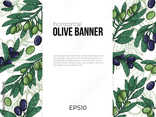 Horizontal banners template with colorful black and green olive with line art illustration of olives branch on white background. Cope space for your text. Background with olive tree twig and leaves