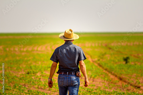 Agronomist inspects soybean crop in agricultural field - Agro concept - farmer in soybean plantation on farm © Rafael Henrique