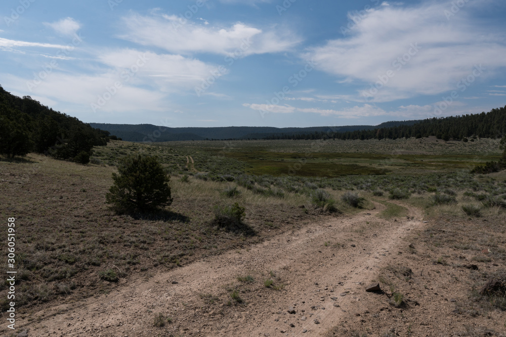 Fototapeta premium The Largo trail vista, New Mexico.