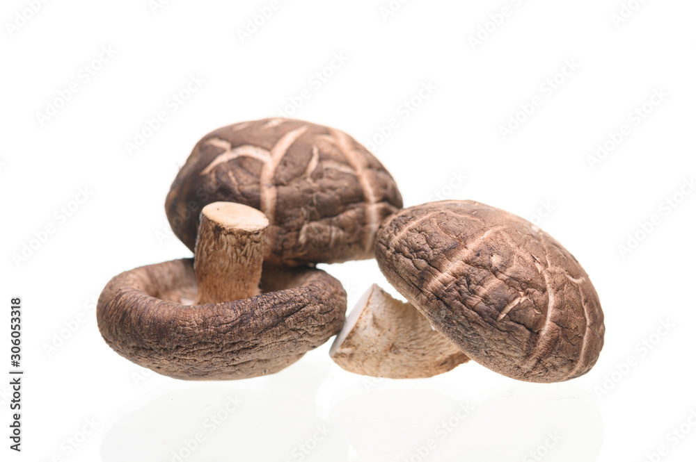 Shiitake mushrooms isolated on the white background. Shiitake mushrooms isolated on the white background.