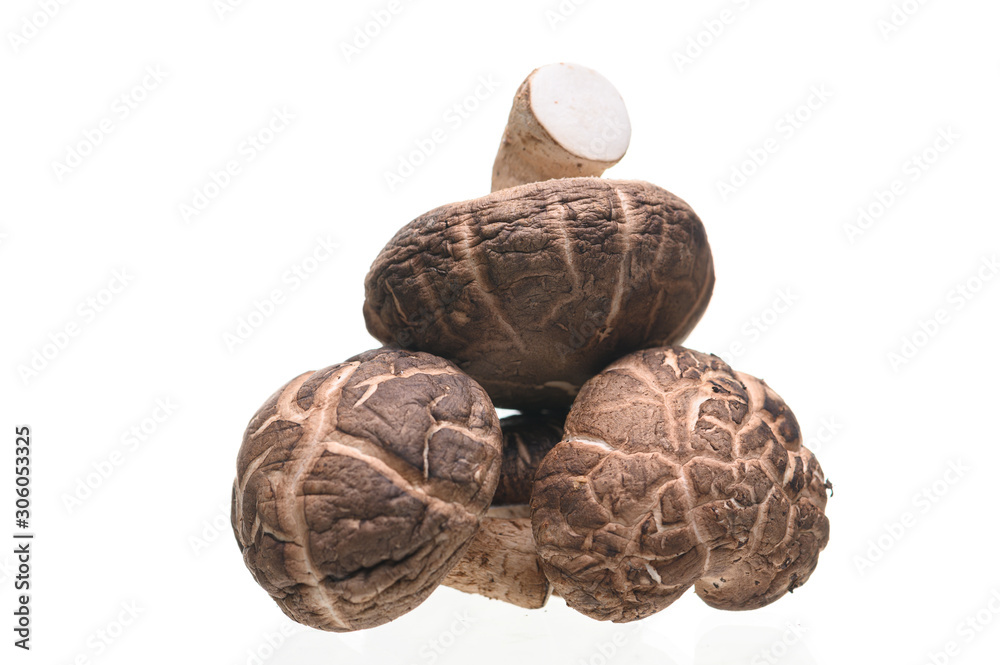 Shiitake mushrooms isolated on the white background. Shiitake mushrooms isolated on the white background.